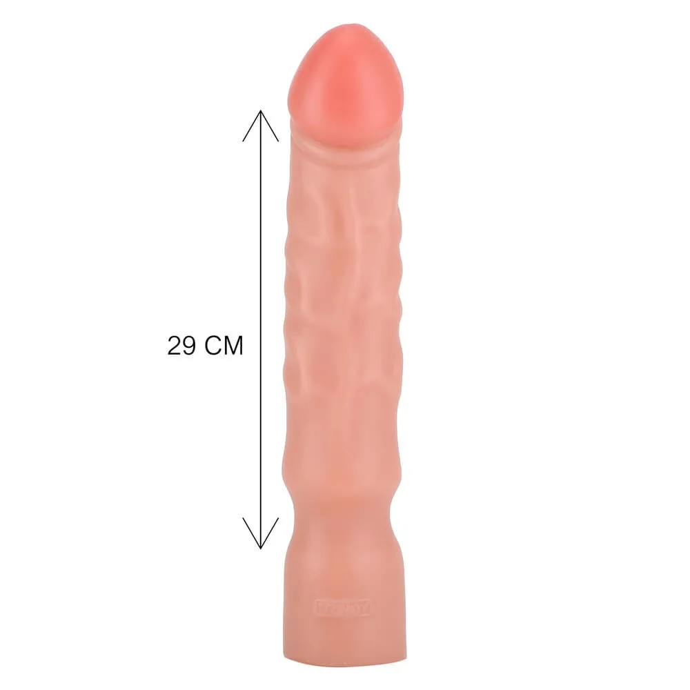 10137×3.jpg