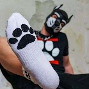 Sk8erboy PUPPY PAW white crew Socks